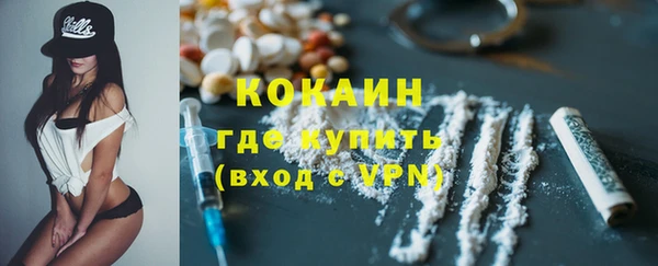 прущие крисы Бородино