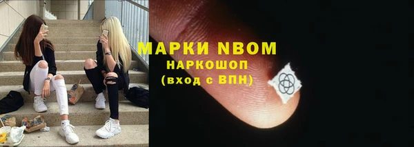 прущие крисы Бородино