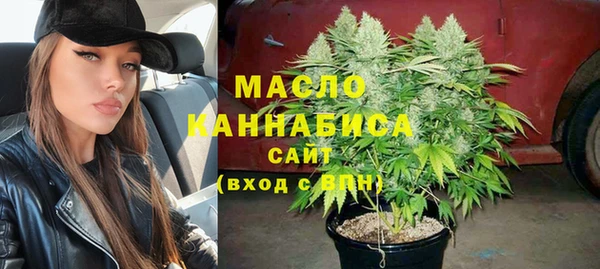 прущие крисы Бородино