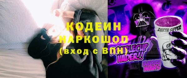 прущие крисы Бородино