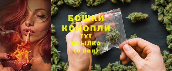 прущие крисы Бородино