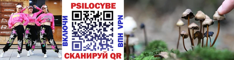 Псилоцибиновые грибы GOLDEN TEACHER  Кирово-Чепецк 