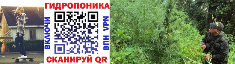 МЕГА tor Кирово-Чепецк Марихуана Bruce Banner где купить наркоту